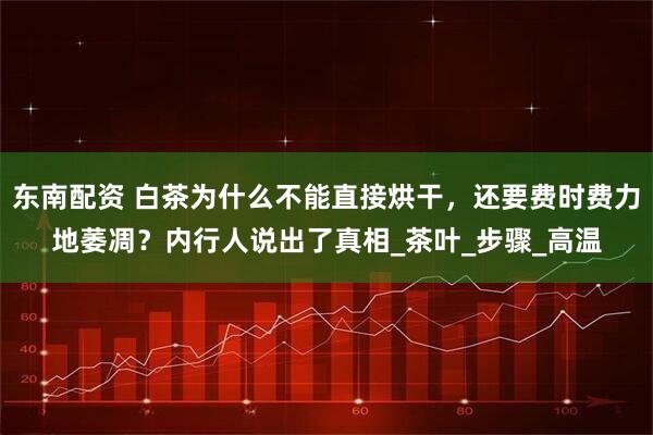 东南配资 白茶为什么不能直接烘干,还要费时费力地萎凋?内行人说出了真相_茶叶_步骤_高温