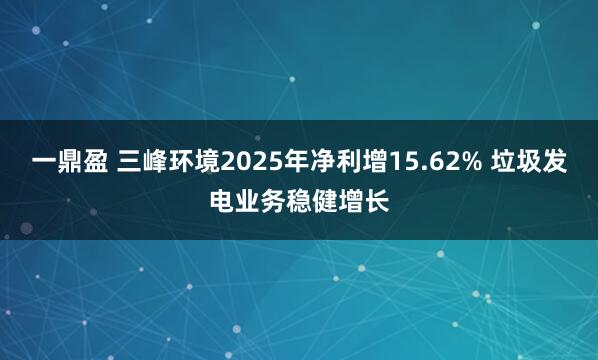 一鼎盈 三峰环境2025年净利增15.62% 垃圾发电业务稳健增长