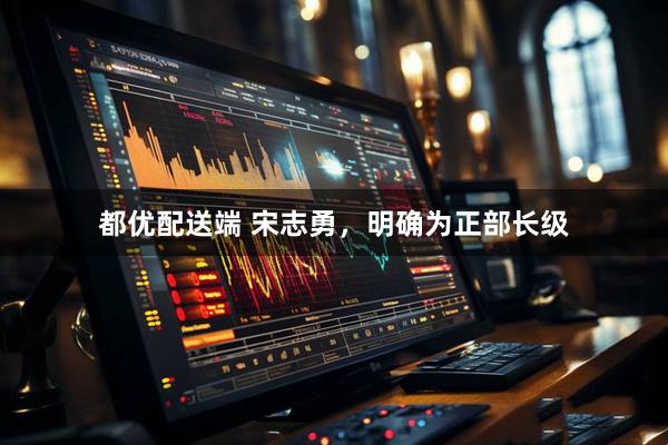 都优配送端 宋志勇，明确为正部长级